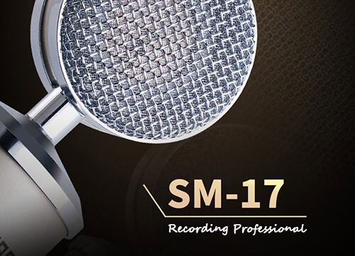 Micro thu âm takstar SM-17 chính hãng